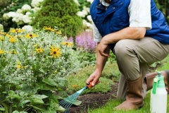 Man working in the garden