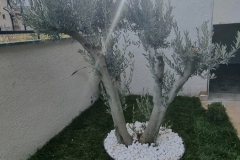 sile-peyzaj-uygulamalari-5585-1