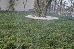 sile-peyzaj-uygulamalari-5585-12